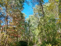 73369 - Beth and I biking on the trail from Pinegrove Rd to Hendrie Rd   Each New Day A Miracle  [  Understanding the Bible   |   Poetry   |   Story  ]- by Pete Rhebergen